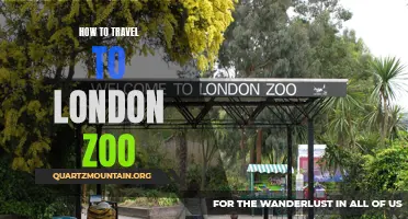 A Complete Guide on Traveling to London Zoo