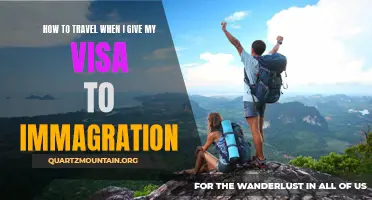 What You Need to Know About Traveling After Submitting Your Visa to Immigration