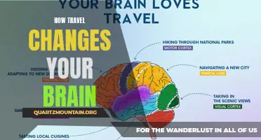 The Impact of Travel on the Brain: Understanding the Transformative Power of Exploration