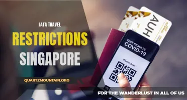 IATA Releases Updated Travel Restrictions for Singapore: What Travelers Need to Know