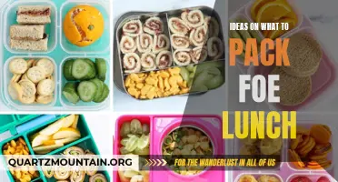Creative Lunchbox Ideas: Packing a Delicious and Nutritious Meal for Any Occasion