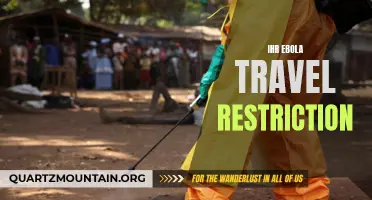 IHR Guidelines on Ebola Travel Restrictions: Protecting Public Health during Outbreaks