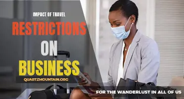 The Effect of Travel Restrictions on Business: A Disruption or Opportunity?