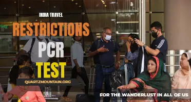 India Travel Restrictions: PCR Test Requirements Explained