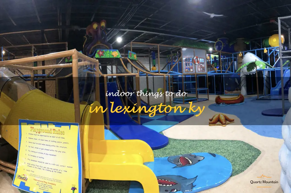 indoor things to do in lexington ky