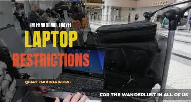 The Impact of International Travel Laptop Restrictions on Business and Leisure Travelers