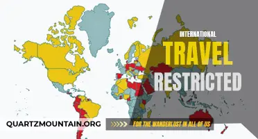 The Impact of International Travel Restrictions: Can the World Overcome the Challenges?