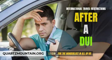 International Travel Restrictions After a DUI: What You Need to Know