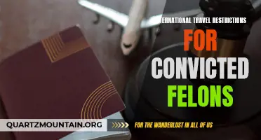 Navigating International Travel Restrictions for Convicted Felons: What You Need to Know