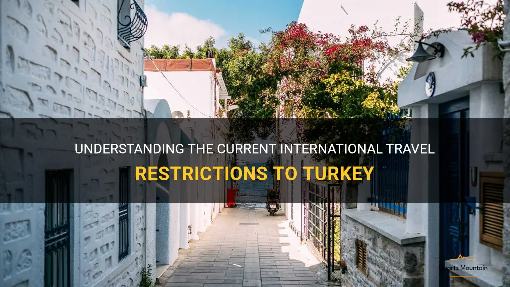 international travel restrictions to turkey