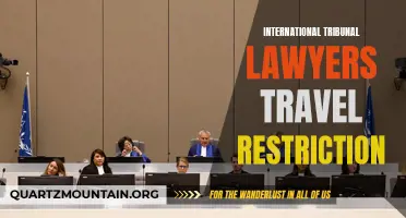 Understanding the Implications of Travel Restrictions for International Tribunal Lawyers