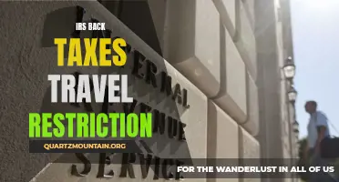 How Travel Restrictions Can Impact Individuals with IRS Back Taxes