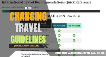 What You Need to Know About the CDC's Changing Travel Guidelines