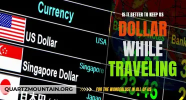 Exploring the Pros and Cons of Carrying US Dollars while Traveling