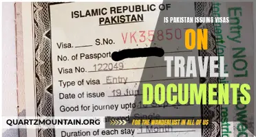 Exploring Pakistan's Visa Policies for Travel Documents