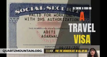 What Information Does a Travel Visa Contain, Including the SSN?