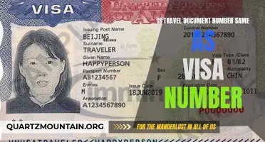 Understanding the Difference Between a Travel Document Number and Visa Number