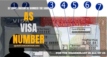 Understanding the Difference Between Travel Document Number and Visa Number