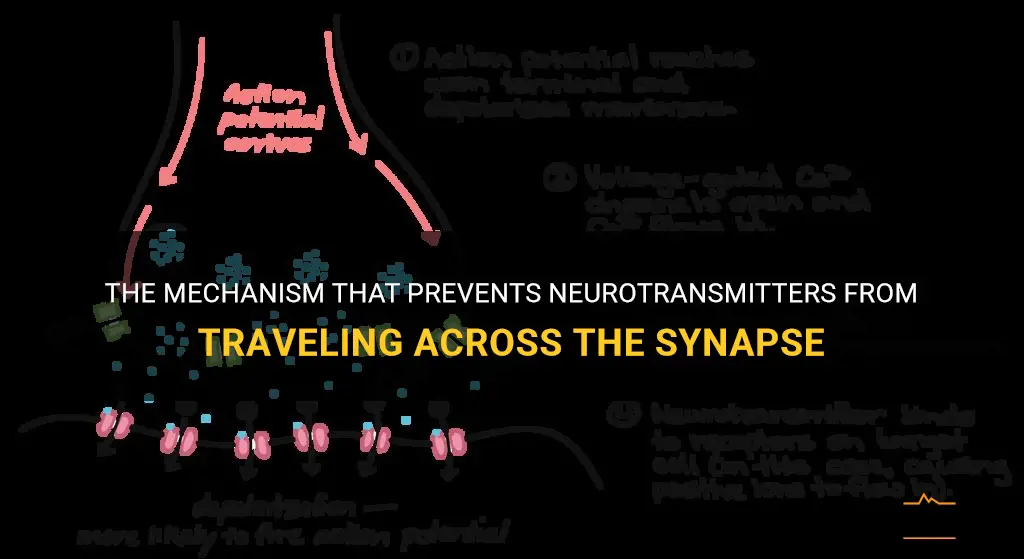 it restricts neurotransmitters from traveling across the synapse