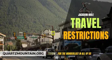 Exploring Jackson Hole: Navigating Travel Restrictions during your Visit