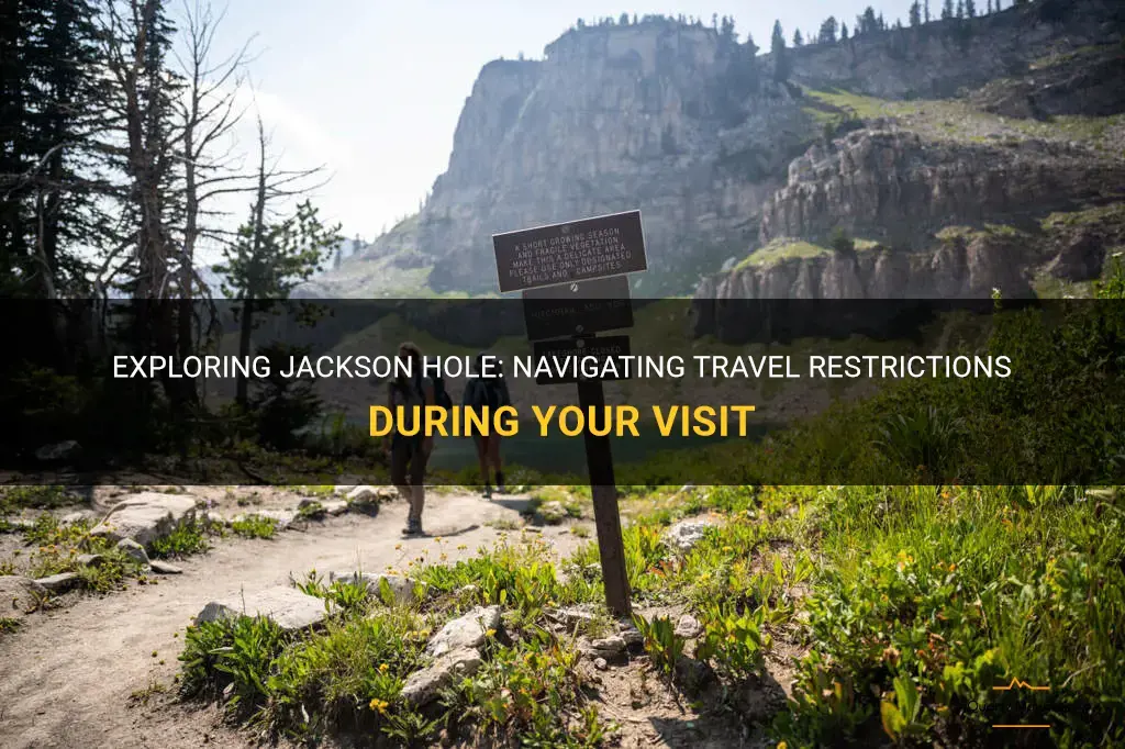 jackson hole travel restrictions