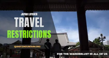 Navigating Layover Travel Restrictions in Japan