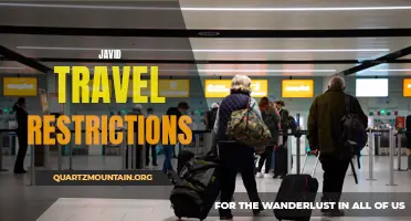 The Impact of Travel Restrictions on Javid and His Future Travels