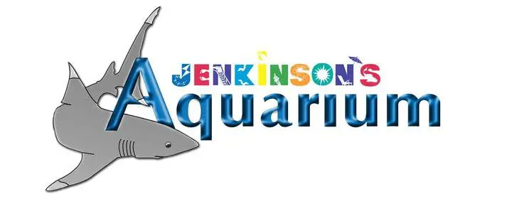 Jenkinsons