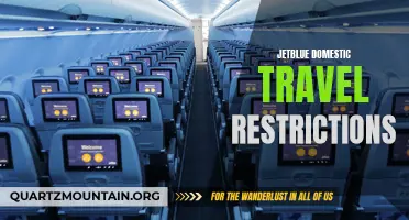 Understanding JetBlue's Domestic Travel Restrictions During the Pandemic