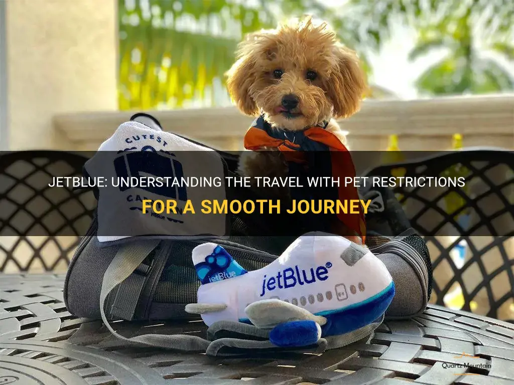 jetblue travel with pet restrictions