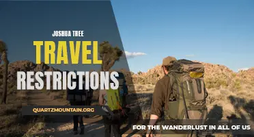 Exploring the Travel Restrictions and Guidelines for Joshua Tree National Park