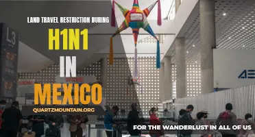 The Impact of H1N1 on Land Travel Restrictions in Mexico