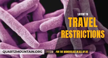 Understanding the Travel Restrictions Related to Latent TB