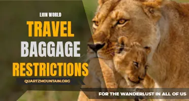 Understanding Lion World Travel Baggage Restrictions: What You Need to Know