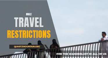 Exploring the Impact of Male Travel Restrictions and Their Consequences