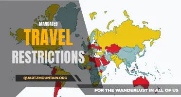The Impact and Effectiveness of Mandated Travel Restrictions