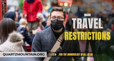 Exploring the Impact of Mask Travel Restrictions: A Comprehensive Analysis
