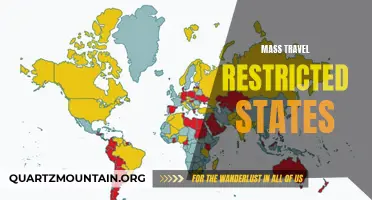 The Impact of Mass Travel Restrictions on States: A Comprehensive Analysis