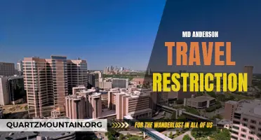Understanding the Impact of Travel Restrictions at MD Anderson