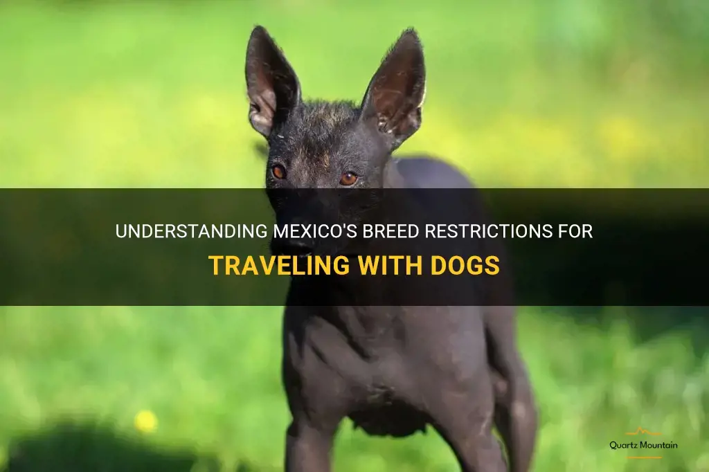 mexico dog travel breed restrictions