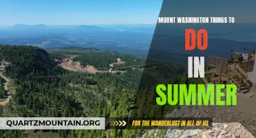14 Must-Try Activities for Summer Fun on Mount Washington