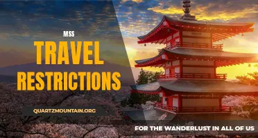 Navigating the Latest Travel Restrictions for MSS Travelers