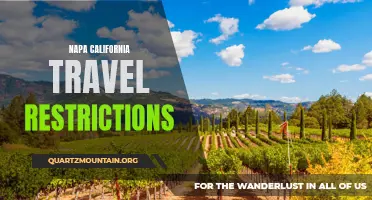 Exploring Napa: Current Travel Restrictions in California's Wine Country