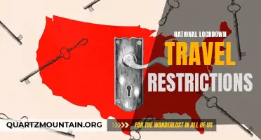 Understanding the Implications of National Lockdown Travel Restrictions