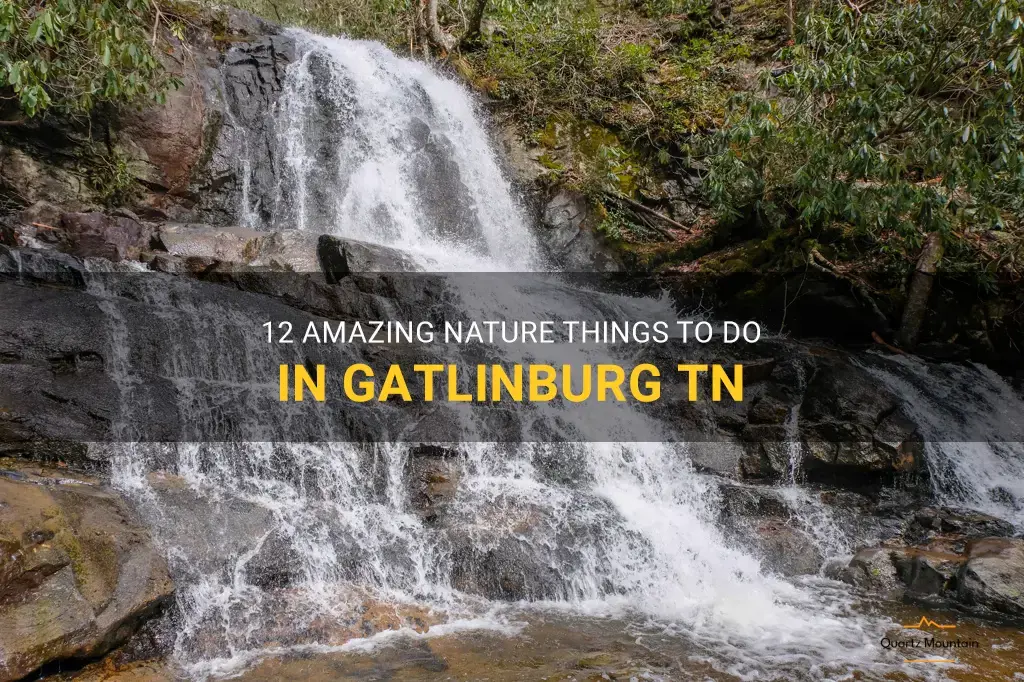 nature things to do in gatlinburg tn