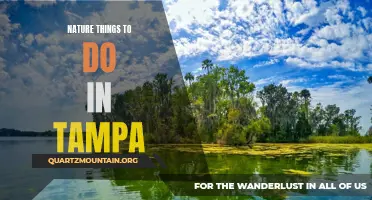 Exploring Tampa's Natural Beauty: Outdoor Activities and Sightseeing