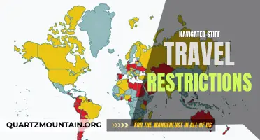 Adapting to Navigated Stiff Travel Restrictions: Finding Alternatives in the Era of Pandemic