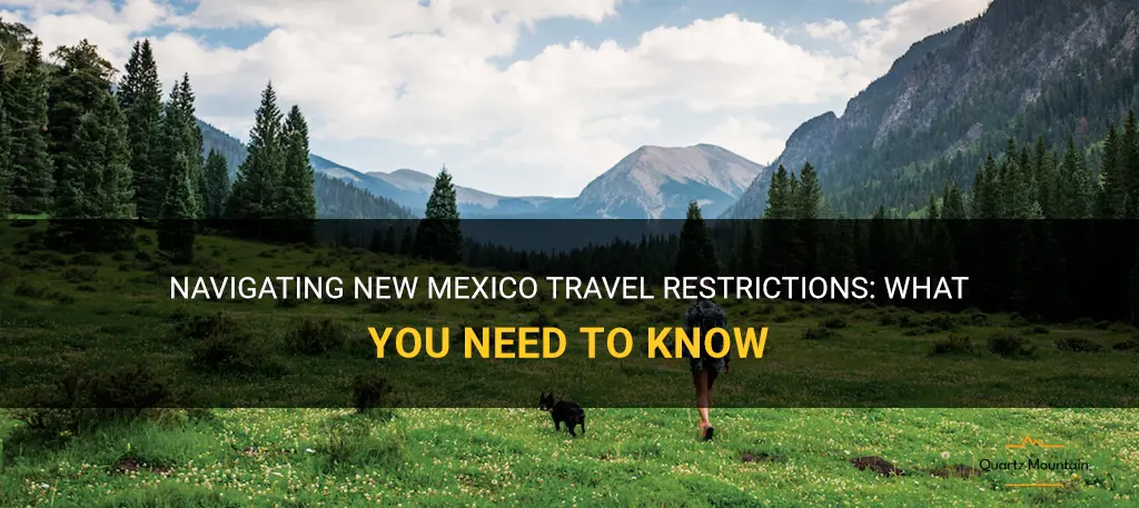 new mexico travel restrictions