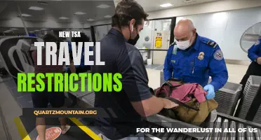 Understanding TSA Travel Restrictions for a Safer Journey