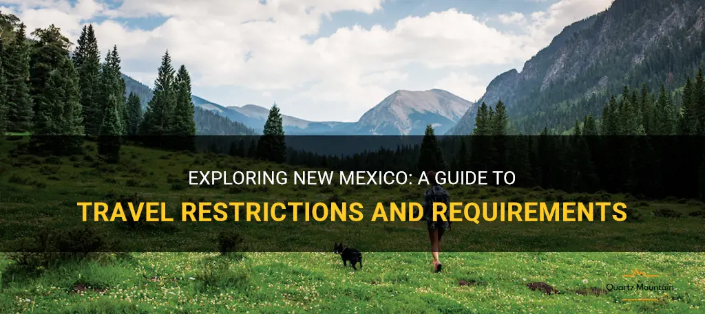 newmexico travel restrictions
